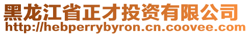 黑龍江省正才投資有限公司