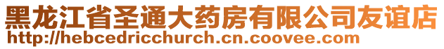 黑龍江省圣通大藥房有限公司友誼店