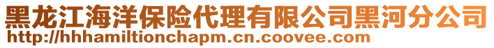 黑龍江海洋保險(xiǎn)代理有限公司黑河分公司