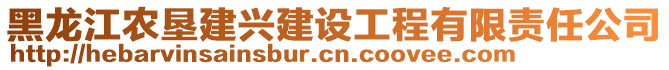 黑龍江農(nóng)墾建興建設(shè)工程有限責任公司