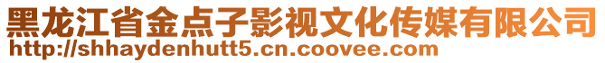 黑龍江省金點(diǎn)子影視文化傳媒有限公司