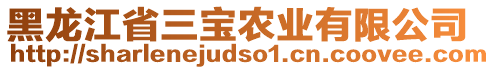 黑龍江省三寶農(nóng)業(yè)有限公司