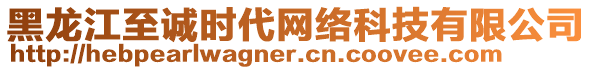 黑龍江至誠(chéng)時(shí)代網(wǎng)絡(luò)科技有限公司