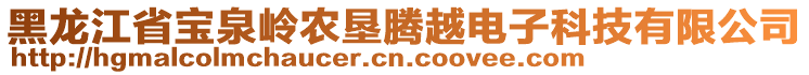 黑龍江省寶泉嶺農(nóng)墾騰越電子科技有限公司