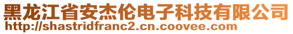 黑龍江省安杰倫電子科技有限公司