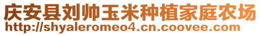 庆安县刘帅玉米种植家庭农场