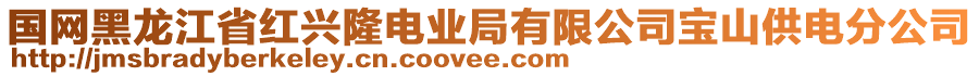 國(guó)網(wǎng)黑龍江省紅興隆電業(yè)局有限公司寶山供電分公司