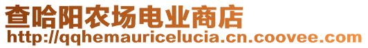 查哈陽農(nóng)場電業(yè)商店