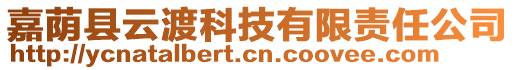 嘉荫县云渡科技有限责任公司