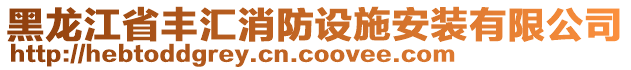 黑龍江省豐匯消防設(shè)施安裝有限公司