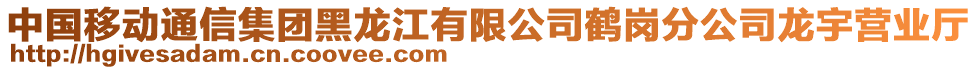 中國移動(dòng)通信集團(tuán)黑龍江有限公司鶴崗分公司龍宇營業(yè)廳