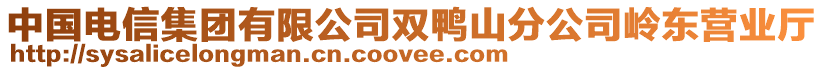 中國電信集團(tuán)有限公司雙鴨山分公司嶺東營業(yè)廳