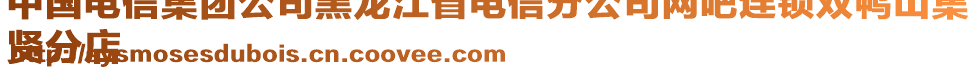 中國(guó)電信集團(tuán)公司黑龍江省電信分公司網(wǎng)吧連鎖雙鴨山集
賢分店