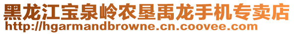 黑龍江寶泉嶺農(nóng)墾禹龍手機(jī)專賣店