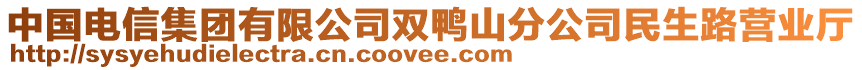 中國電信集團有限公司雙鴨山分公司民生路營業(yè)廳