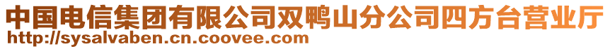 中國電信集團有限公司雙鴨山分公司四方臺營業(yè)廳