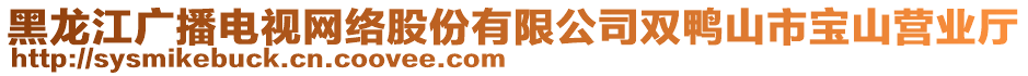 黑龍江廣播電視網(wǎng)絡(luò)股份有限公司雙鴨山市寶山營業(yè)廳