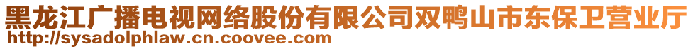 黑龍江廣播電視網(wǎng)絡(luò)股份有限公司雙鴨山市東保衛(wèi)營(yíng)業(yè)廳