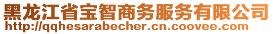 黑龍江省寶智商務(wù)服務(wù)有限公司