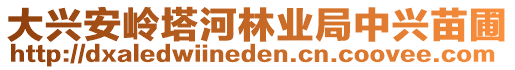 大興安嶺塔河林業(yè)局中興苗圃