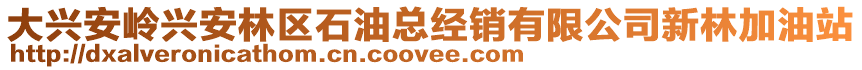 大兴安岭兴安林区石油总经销有限公司新林加油站