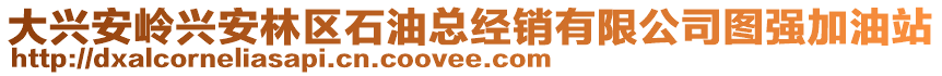 大興安嶺興安林區(qū)石油總經(jīng)銷有限公司圖強加油站