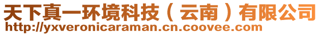 天下真一環(huán)境科技（云南）有限公司