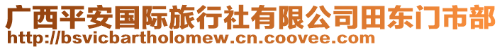 廣西平安國際旅行社有限公司田東門市部