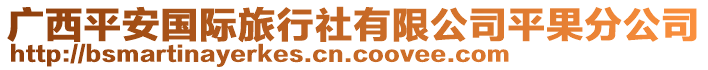 广西平安国际旅行社有限公司平果分公司