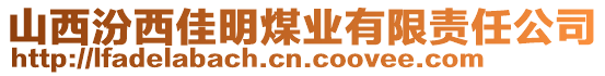 山西汾西佳明煤業(yè)有限責(zé)任公司