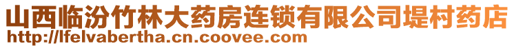 山西臨汾竹林大藥房連鎖有限公司堤村藥店