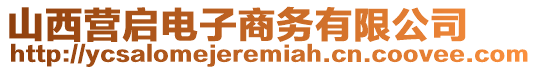 山西營(yíng)啟電子商務(wù)有限公司