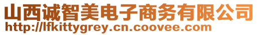 山西誠(chéng)智美電子商務(wù)有限公司