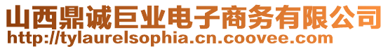 山西鼎誠巨業電子商務有限公司
