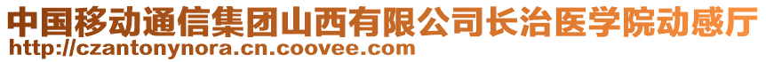 中國移動通信集團山西有限公司長治醫學院動感廳