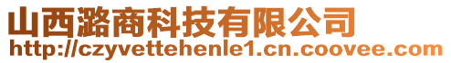 山西潞商科技有限公司