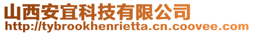 山西安宜科技有限公司