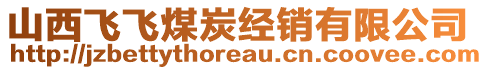 山西飛飛煤炭經(jīng)銷有限公司