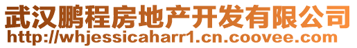 武漢鵬程房地產開發有限公司