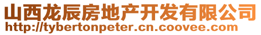 山西龍辰房地產(chǎn)開發(fā)有限公司