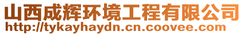 山西成輝環(huán)境工程有限公司