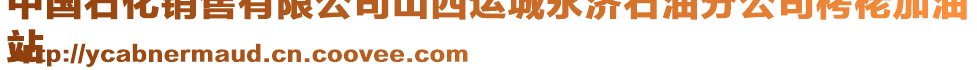 中國石化銷售有限公司山西運(yùn)城永濟(jì)石油分公司栲栳加油
站