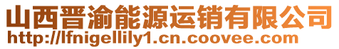 山西晋渝能源运销有限公司