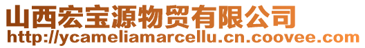 山西宏寶源物貿(mào)有限公司