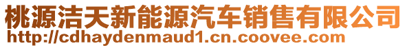 桃源潔天新能源汽車銷售有限公司