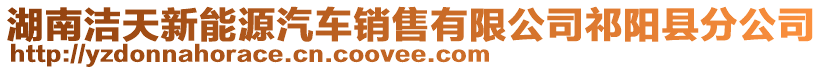 湖南潔天新能源汽車銷售有限公司祁陽縣分公司