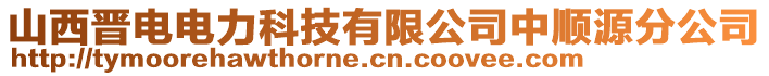 山西晉電電力科技有限公司中順源分公司