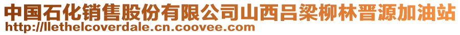 中国石化销售股份有限公司山西吕梁柳林晋源加油站