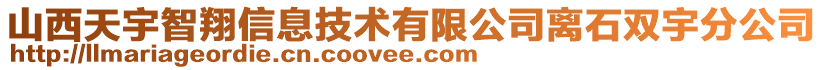 山西天宇智翔信息技術(shù)有限公司離石雙宇分公司