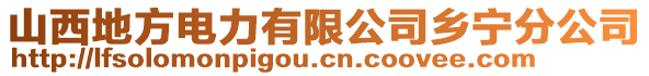 山西地方電力有限公司鄉(xiāng)寧分公司